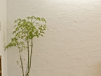OsRoom
